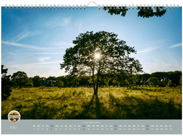 Wandkalender 2026 – Bild 9