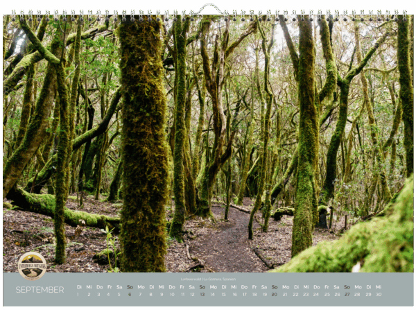 Wandkalender 2026 – Bild 11
