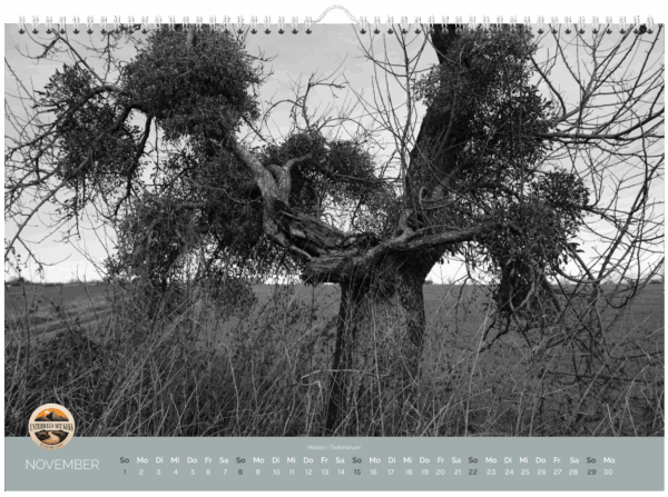 Wandkalender 2026 – Bild 13